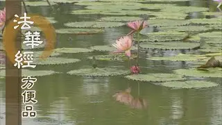 【靜思妙蓮華】法華經方便品 - 身處濁世當覺醒 - 20200904 第452集