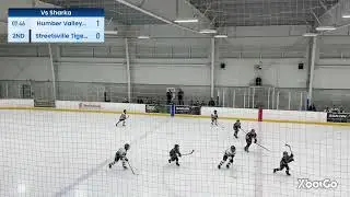 2nd Period vs Humber Valley Sharks on Jan. 12th