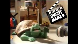 NON-Persian Turtle Rap UNCUT