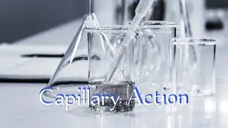 Capillary Action Simply Explained| Science and Arts