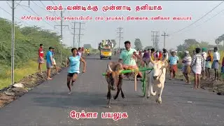 சிவஞானபுரம் பூஞ்சிட்டு முதல் சுற்று -1 ✨17 January 2026