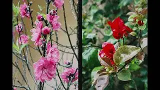 healing playlist | pov whatever you decide, let your intuition guide you and your faith inspire you