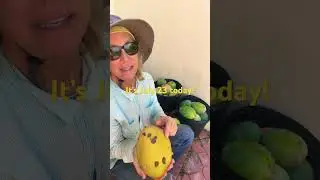СПЕЦИАЛЬНОЕ ПРЕДЛОЖЕНИЕ на манго &laquo;Keitt&raquo; на этой неделе!!! 🥭 #манго #сезонманго #распродажа