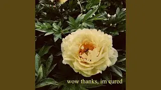 I'm Alright