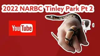2022 NARBC Tinley Park Part 2 #youtuber #youtubevideos #subscribe #reptiles #narbc