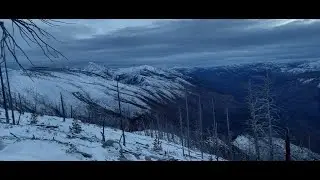 idaho deer hunt 2025