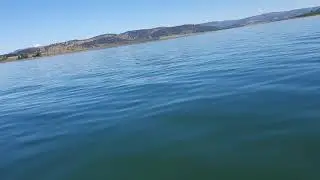 Bestbass 5.5  motor mercury 40 hp
