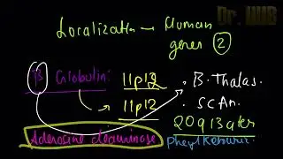 Localisation of human genes - part 2