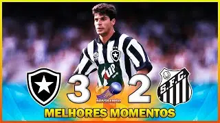BOTAFOGO 2 x 1 SANTOS ● MELHORES MOMENTOS ● CAMPEONATO BRASILEIRO 1995 ● FINAL ● JOGO 01