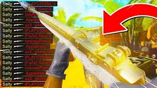 *2 SHOT* DMR 14 Class Setup is OVERPOWERED! (Best DMR Class Setup) -Cold War