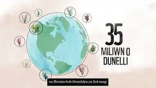 Sut y gall ffermio gwymon fod yn ateb i&rsquo;r argyfwng hinsawdd a natur. (WWF Cymru seaweed animation)