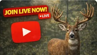 COTW Grind Hunt!LETSS GOOO!!!
