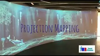 Projection Mapping - 16m curved wall