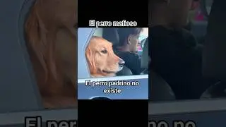 Il padrino