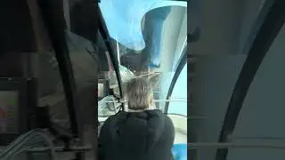 Riding the Seattle Monorail.
