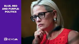 Arizona Sen. Sinema won't seek reelection