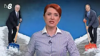 Verde-n ochi: Polei, isterie, spume la gură și test social. Moldova nu poate fi ca Japonia?