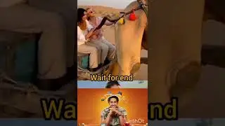 Indian funny Fact | Viral ComedyVideo Funny Whatsapp Status #shorts #ytshorts #funny