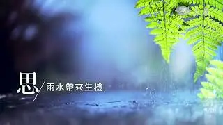 二十四節氣 穀雨篇