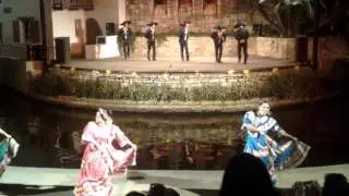 Negra FNDR 2014 lst show