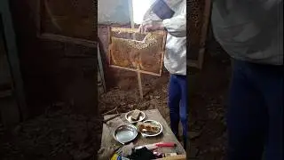 .. По тарелочкам .. Auf Tellern #Bienen#Honig#Bienenhaus