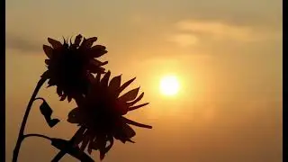 If your feeling anxious, broken or overwhelmed, listen to this...