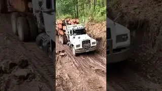 Mack Logging truck on narrow road #automobile #heavyvehicle #trailer
