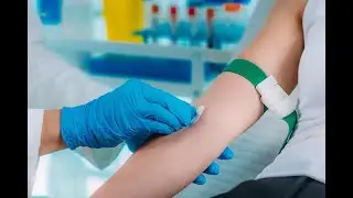Blood Draw at IPM