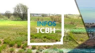 Infos TCBH - 21 janvier 2026