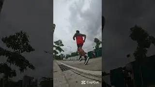 Day 214 No Excuses Challenge 