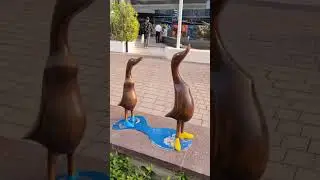 Отличное место для отдыха/Дубай Марина/Прыжок с небоскреба/яхтаг яхте/#travel #dubai #дубай #оаэ 