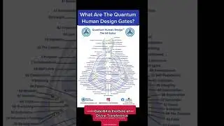 [Available Soon] Preview: How To Read Your Human Design Chart: A User Guide & Manual