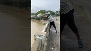 Cast Net Fishing 🐠Kadaludi Estuary Kerala Fishing /￼sea and River #fishing video