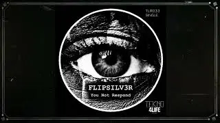 FLIPSILV3R  - You Not Respond (Original Mix)