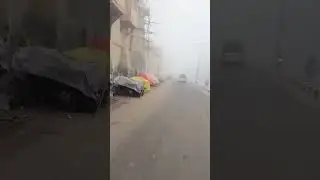A beautiful winter in Jaipur. January 2024 no visibility fog and to cold