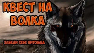 Квест на волка 