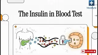 6 minutes to understand the Insulin test | MediByte