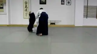 Aikido - 3 Kyu - Technique - Yokomenuchi Iriminage
