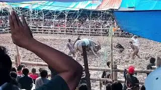 Tungka vs Kaisar BBT (WIN) Arena Kawasik