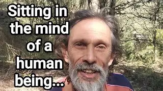 How to Experience Inner Peace: Observing the Human Mind as Pure Consciousness