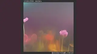 Calming Aromas