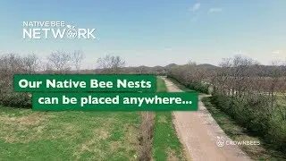Native Bee Network - Where will you place your wild bee nest?