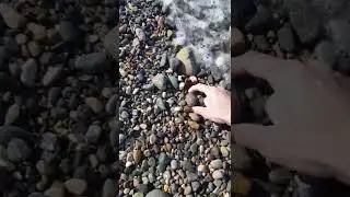 weird stone found on black sea beach #shorts #blacksea #beach #stone #weird