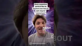 Does a quantum particle like an electron ever lose its spin completely? ( yes it can change value )