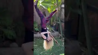 Shrednastics!