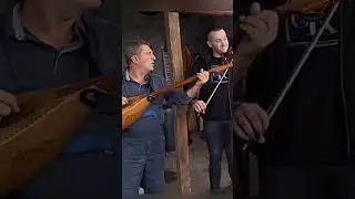 Sargija i violina&hellip;