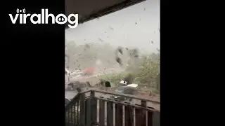 Man Watches Tornado Destroy His Apartment || ViralHog