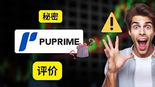 PU Prime 评测：经纪商不想让你知道的惊人真相