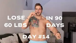 Day 14 of Losing 60 lbs of Body Fat  in 90 Days