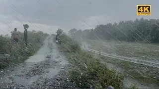 Heavy Rain On A Lonely Trail | 4K Relaxation Heavy Rain Walk